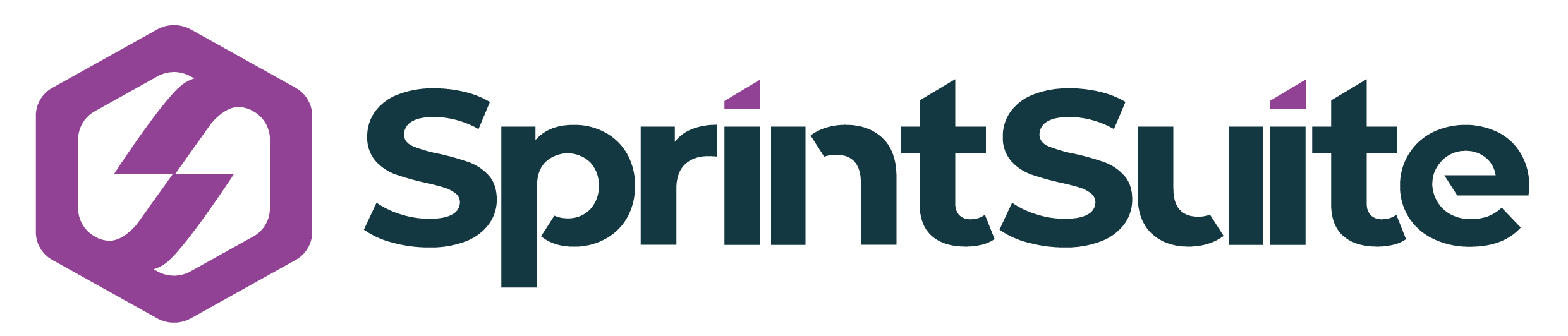 springsuite logo