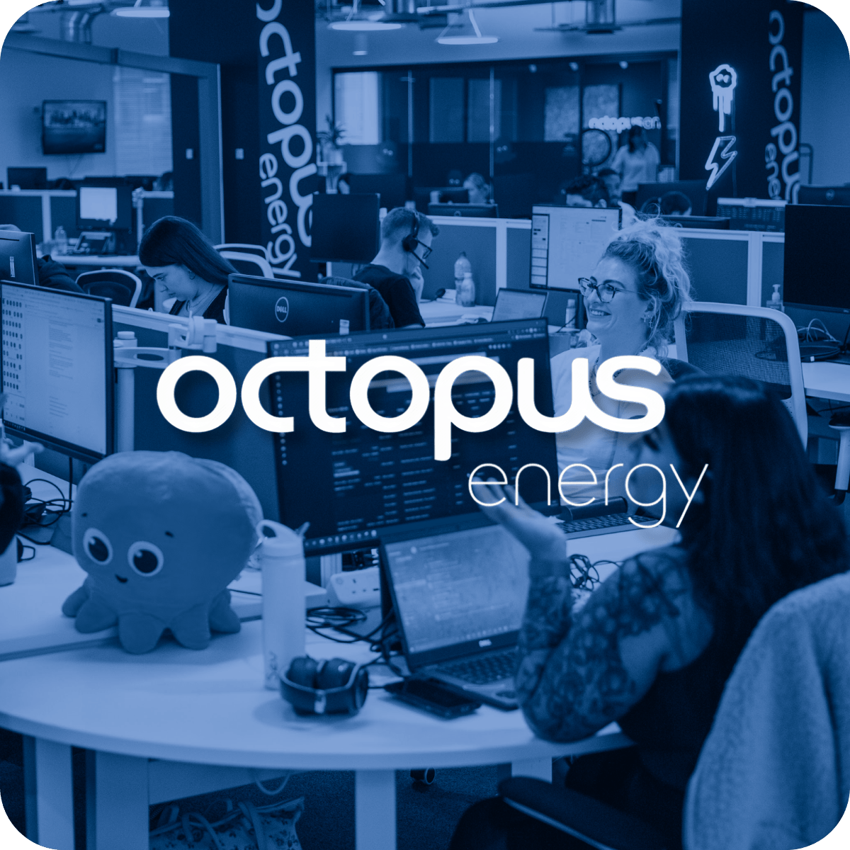 octopus_hero-image-square