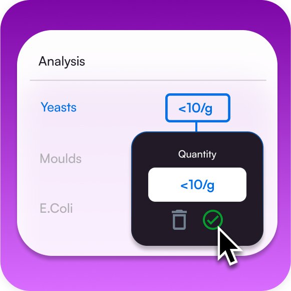 AI quality assurance