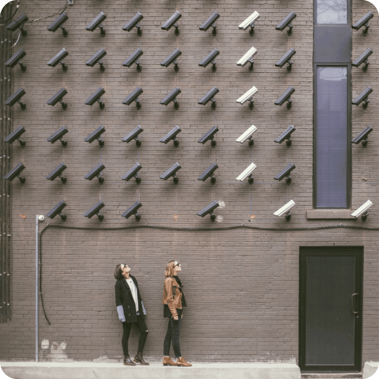 maintain compliance & risk management