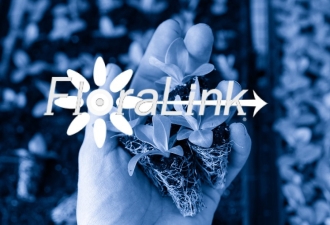 floralink case study