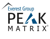 everest-group