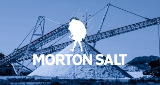 morton salt case study