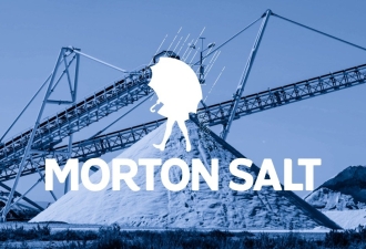 morton salt case study