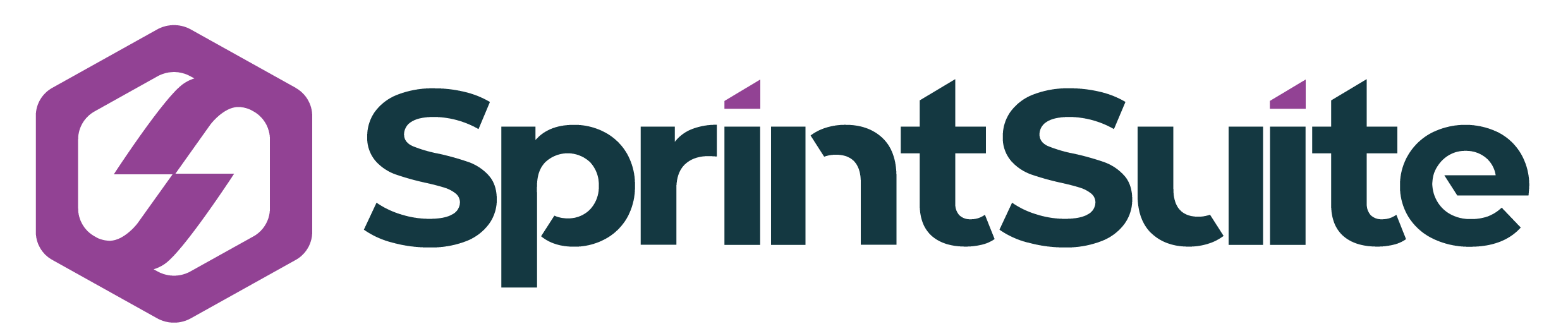 springsuite logo