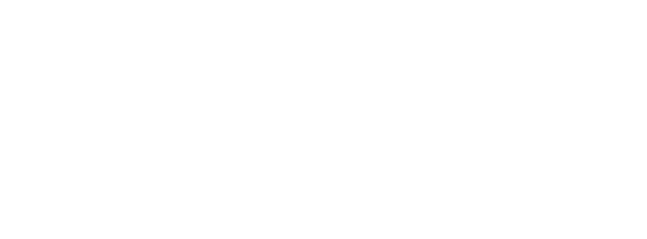 wolt_rgb_logo_white