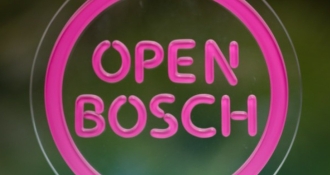 Open Bosch 2021
