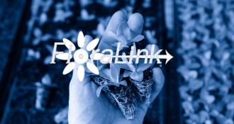 floralink case study